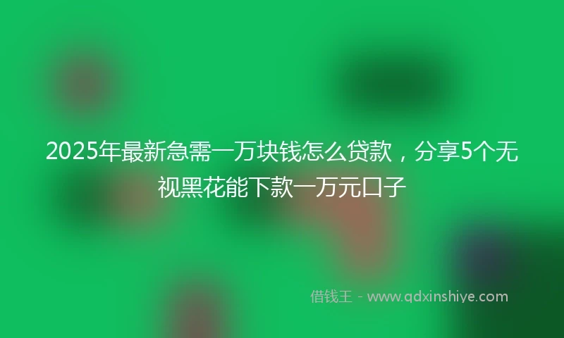 2025年最新急需一万块钱怎么贷款，分享5个无视黑花能下款一万元口子