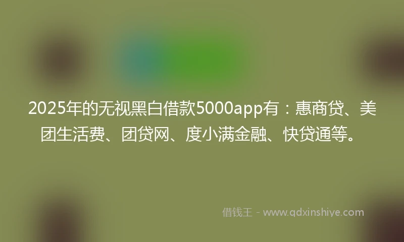 2025年的无视黑白借款5000app有：惠商贷、美团生活费、团贷网、度小满金融、快贷通等。