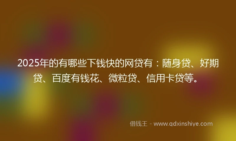 2025年的有哪些下钱快的网贷有：随身贷、好期贷、百度有钱花、微粒贷、信用卡贷等。