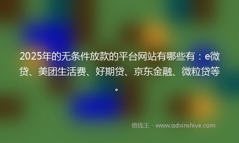 2025年的无条件放款的平台网站有哪些有：e微贷、美团生活费、好期贷、京东金融、微粒贷等。