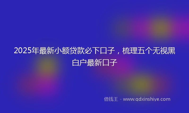 2025年最新小额贷款必下口子，梳理五个无视黑白户最新口子
