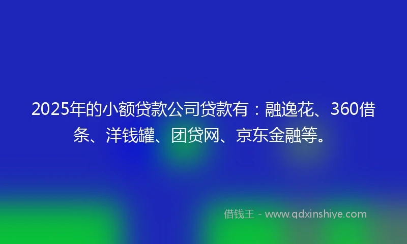2025年的小额贷款公司贷款有：融逸花、360借条、洋钱罐、团贷网、京东金融等。