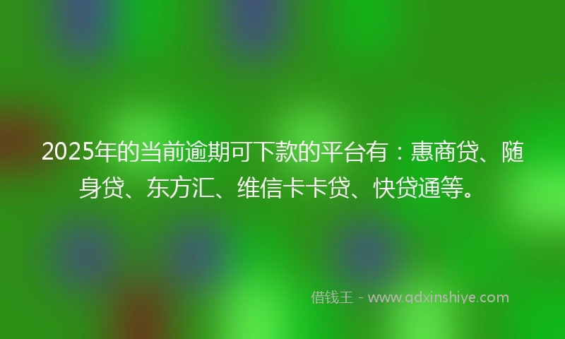 2025年的当前逾期可下款的平台有：惠商贷、随身贷、东方汇、维信卡卡贷、快贷通等。