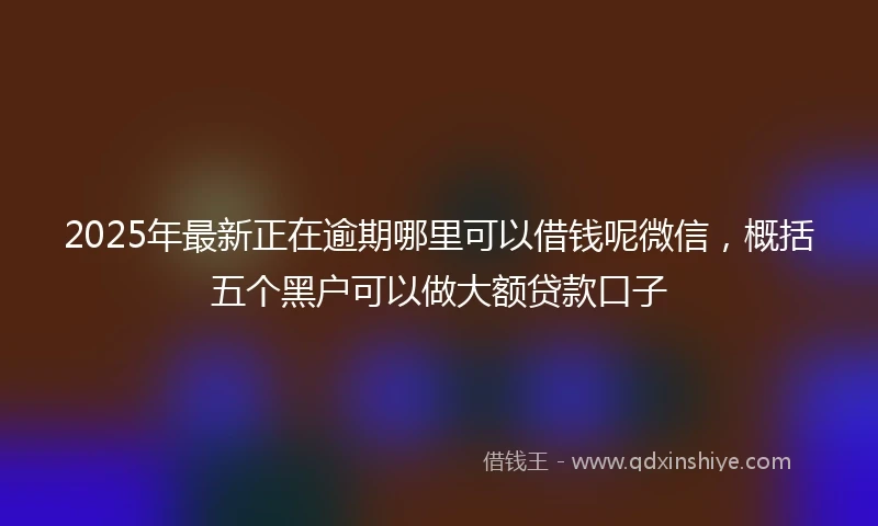 2025年最新正在逾期哪里可以借钱呢微信，概括五个黑户可以做大额贷款口子