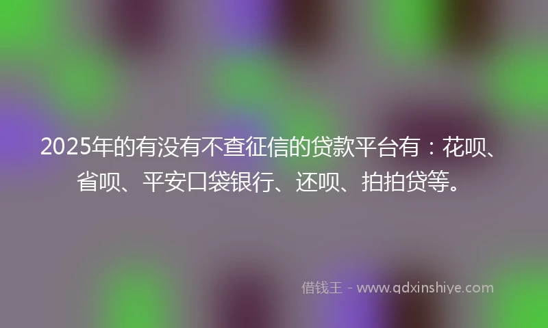 2025年的有没有不查征信的贷款平台有：花呗、省呗、平安口袋银行、还呗、拍拍贷等。