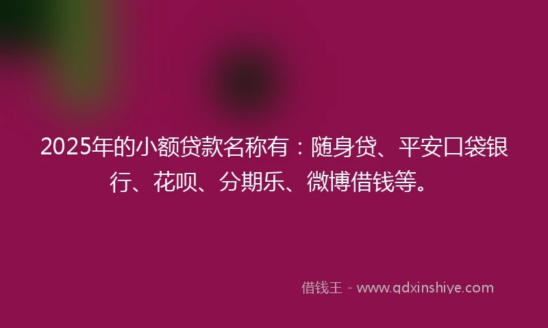 2025年的小额贷款名称有：随身贷、平安口袋银行、花呗、分期乐、微博借钱等。