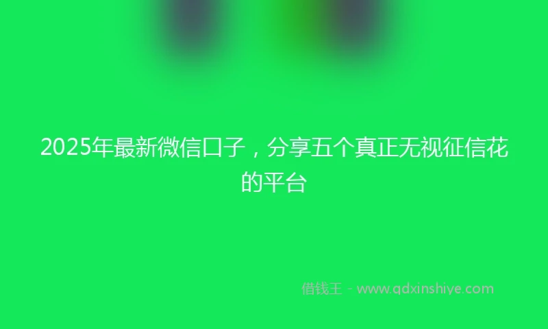 2025年最新微信口子，分享五个真正无视征信花的平台