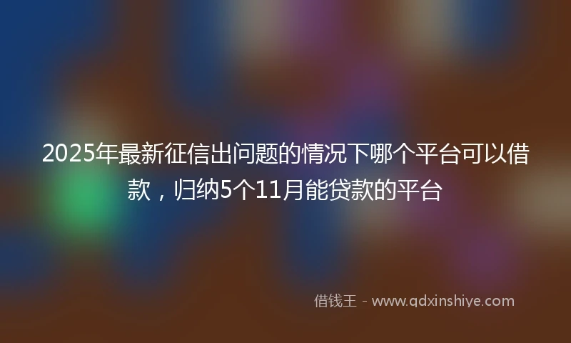 2025年最新征信出问题的情况下哪个平台可以借款，归纳5个11月能贷款的平台