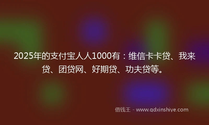 2025年的支付宝人人1000有：维信卡卡贷、我来贷、团贷网、好期贷、功夫贷等。