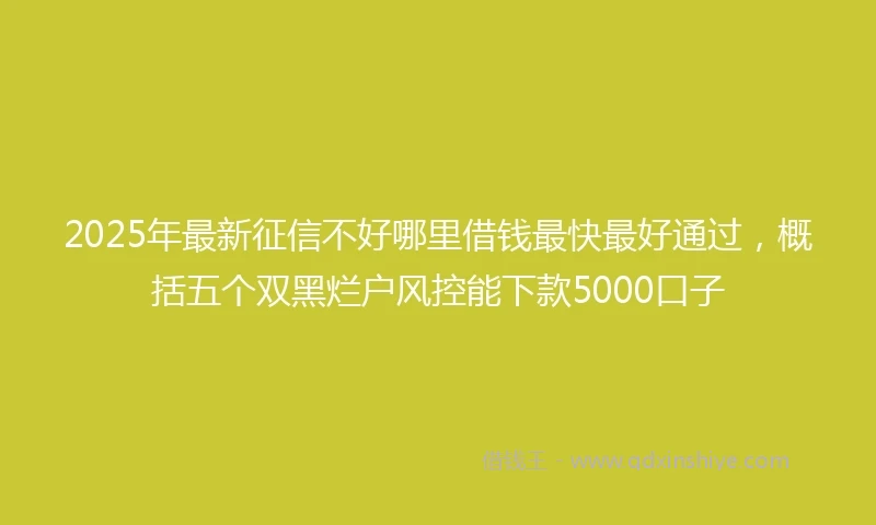 2025年最新征信不好哪里借钱最快最好通过，概括五个双黑烂户风控能下款5000口子
