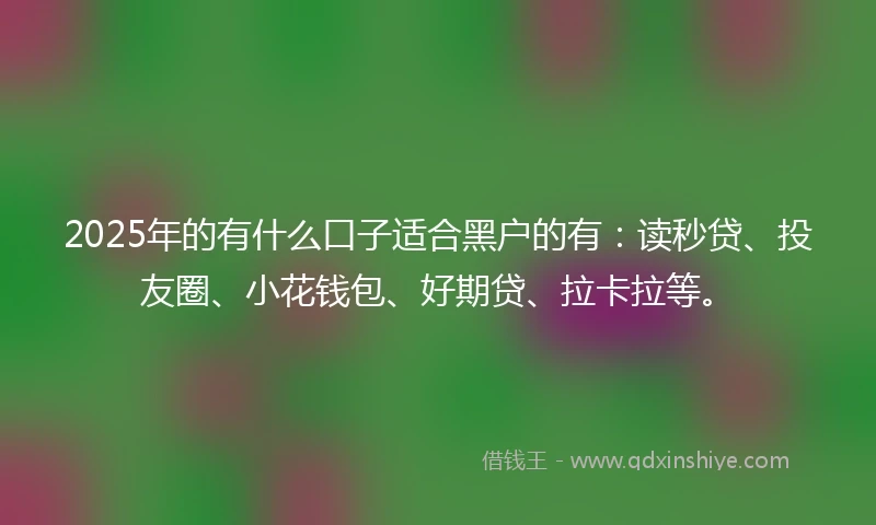 2025年的有什么口子适合黑户的有：读秒贷、投友圈、小花钱包、好期贷、拉卡拉等。