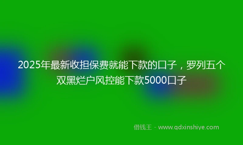 2025年最新收担保费就能下款的口子，罗列五个双黑烂户风控能下款5000口子