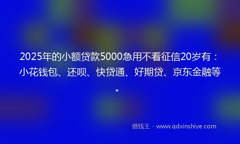 2025年的小额贷款5000急用不看征信20岁有：小花钱包、还呗、快贷通、好期贷、京东金融等。