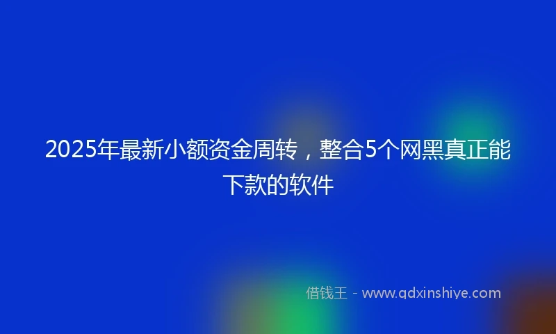2025年最新小额资金周转,整合5个网黑真正能下款的软件