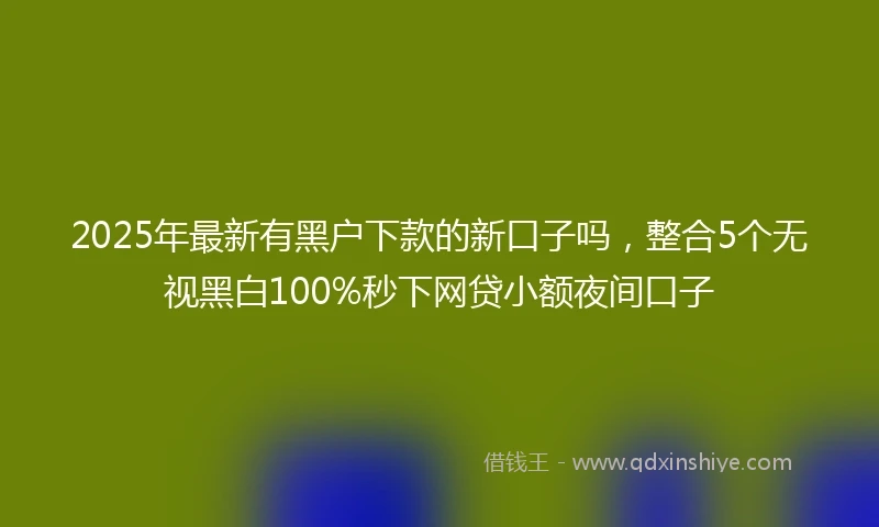 2025年最新有黑户下款的新口子吗，整合5个无视黑白100%秒下网贷小额夜间口子