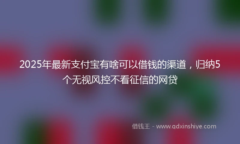 2025年最新支付宝有啥可以借钱的渠道，归纳5个无视风控不看征信的网贷