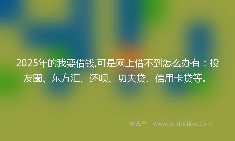 2025年的我要借钱,可是网上借不到怎么办有：投友圈、东方汇、还呗、功夫贷、信用卡贷等。