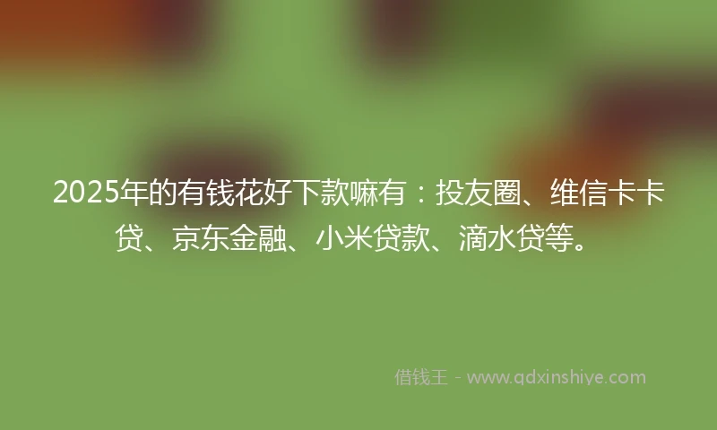 2025年的有钱花好下款嘛有：投友圈、维信卡卡贷、京东金融、小米贷款、滴水贷等。