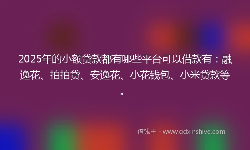 2025年的小额贷款都有哪些平台可以借款有：融逸花、拍拍贷、安逸花、小花钱包、小米贷款等。