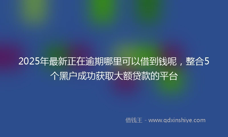 2025年最新正在逾期哪里可以借到钱呢，整合5个黑户成功获取大额贷款的平台
