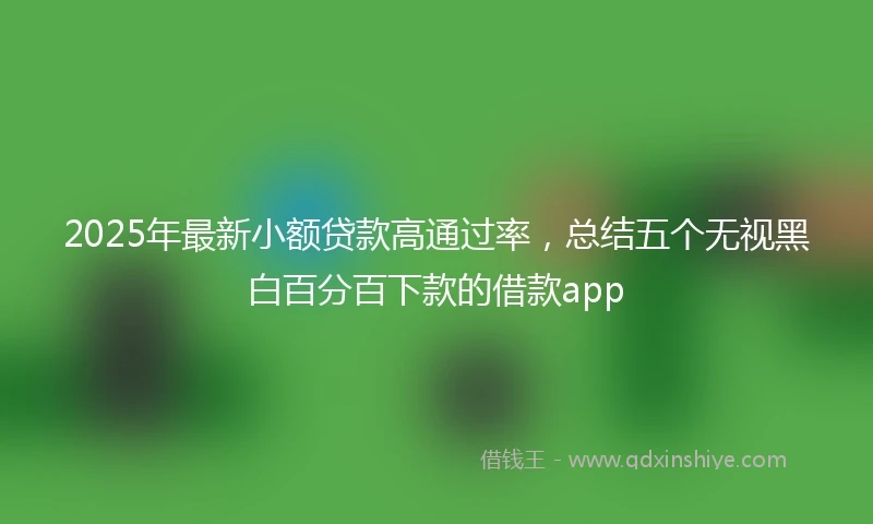 2025年最新小额贷款高通过率,总结五个无视黑白百分百下款的借款app