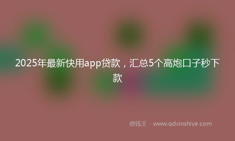 2025年最新快用app贷款，汇总5个高炮口子秒下款