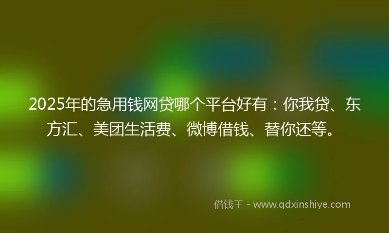 2025年的急用钱网贷哪个平台好有：你我贷、东方汇、美团生活费、微博借钱、替你还等。