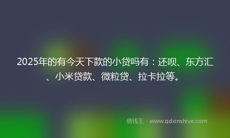 2025年的有今天下款的小贷吗有：还呗、东方汇、小米贷款、微粒贷、拉卡拉等。