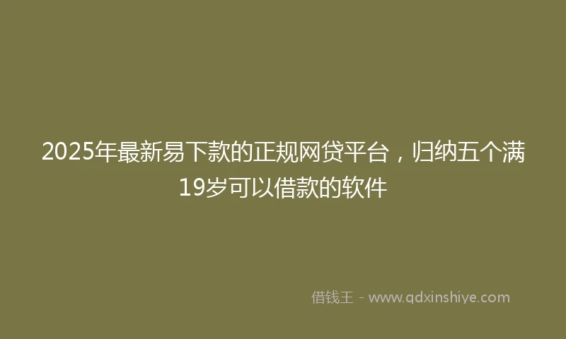 2025年最新易下款的正规网贷平台，归纳五个满19岁可以借款的软件