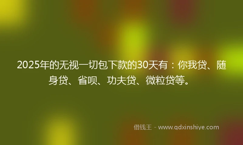 2025年的无视一切包下款的30天有：你我贷、随身贷、省呗、功夫贷、微粒贷等。