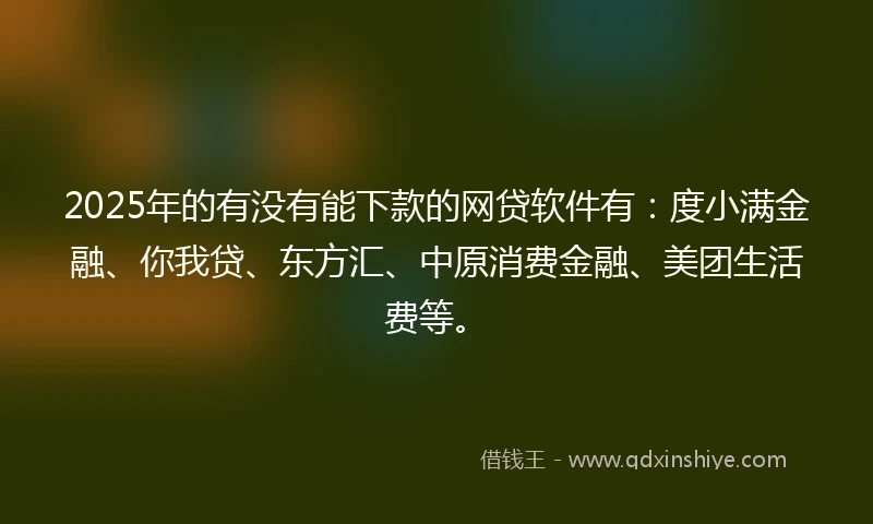2025年的有没有能下款的网贷软件有：度小满金融、你我贷、东方汇、中原消费金融、美团生活费等。