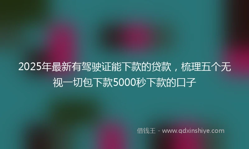 2025年最新有驾驶证能下款的贷款，梳理五个无视一切包下款5000秒下款的口子