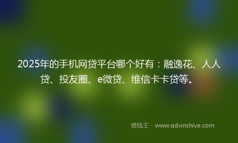 2025年的手机网贷平台哪个好有：融逸花、人人贷、投友圈、e微贷、维信卡卡贷等。