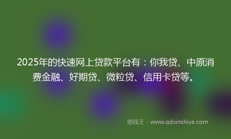 2025年的快速网上贷款平台有：你我贷、中原消费金融、好期贷、微粒贷、信用卡贷等。