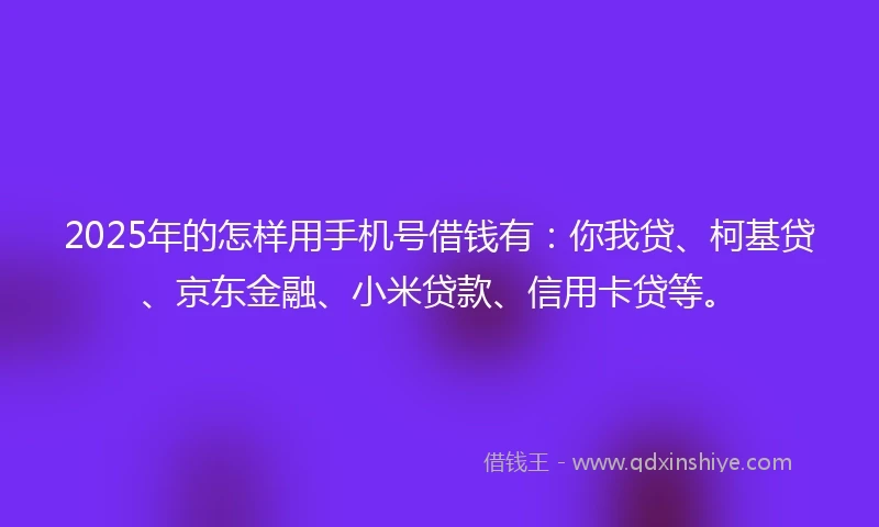 2025年的怎样用手机号借钱有：你我贷、柯基贷、京东金融、小米贷款、信用卡贷等。