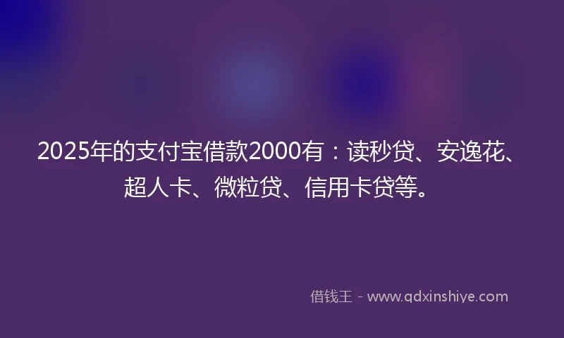 2025年的支付宝借款2000有：读秒贷、安逸花、超人卡、微粒贷、信用卡贷等。