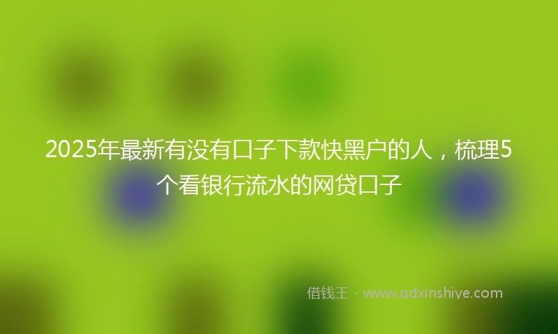 2025年最新有没有口子下款快黑户的人，梳理5个看银行流水的网贷口子