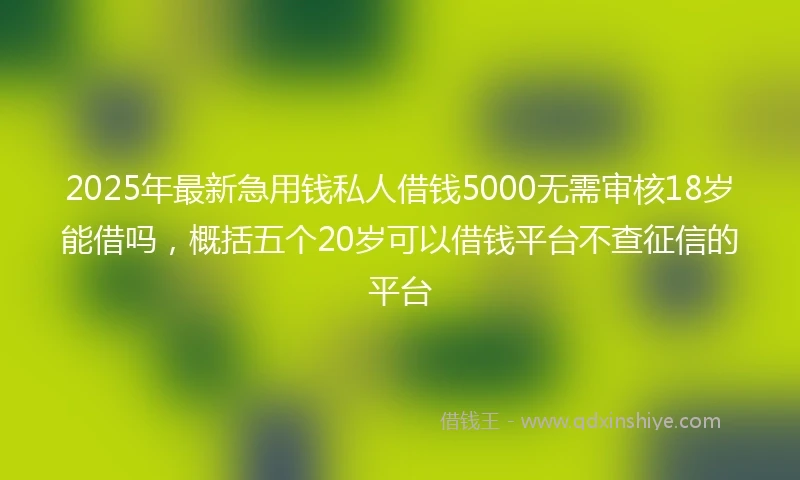 2025年最新急用钱私人借钱5000无需审核18岁能借吗，概括五个20岁可以借钱平台不查征信的平台