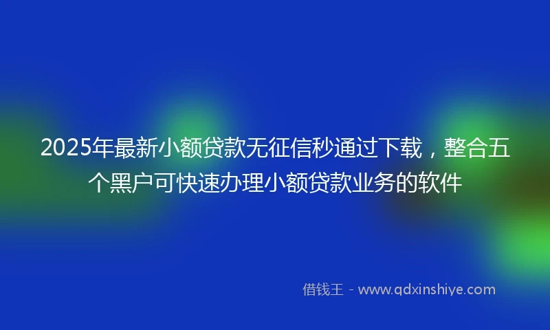 2025年最新小额贷款无征信秒通过下载，整合五个黑户可快速办理小额贷款业务的软件