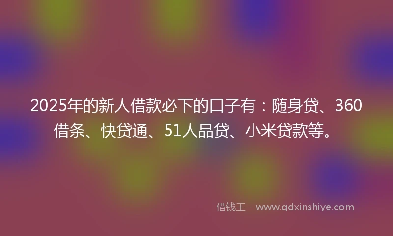2025年的新人借款必下的口子有：随身贷、360借条、快贷通、51人品贷、小米贷款等。