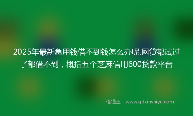 2025年最新急用钱借不到钱怎么办呢,网贷都试过了都借不到，概括五个芝麻信用600贷款平台