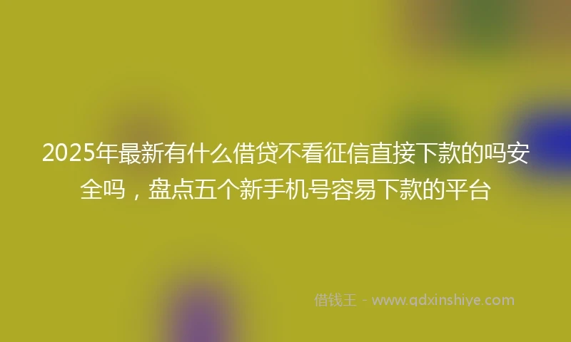 2025年最新有什么借贷不看征信直接下款的吗安全吗，盘点五个新手机号容易下款的平台