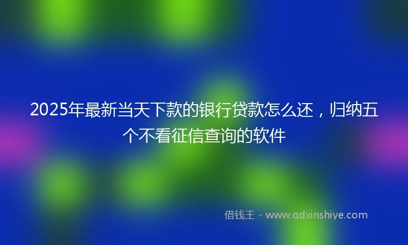 2025年最新当天下款的银行贷款怎么还，归纳五个不看征信查询的软件