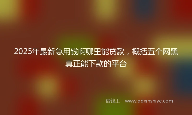 2025年最新急用钱啊哪里能贷款，概括五个网黑真正能下款的平台