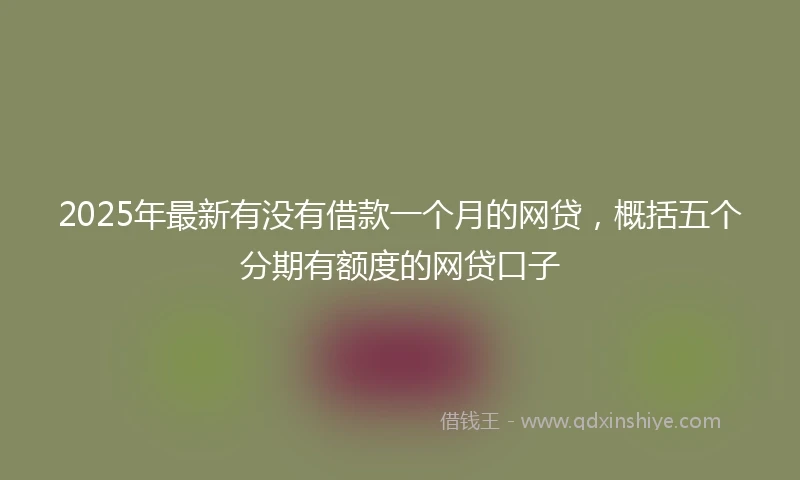 2025年最新有没有借款一个月的网贷，概括五个分期有额度的网贷口子