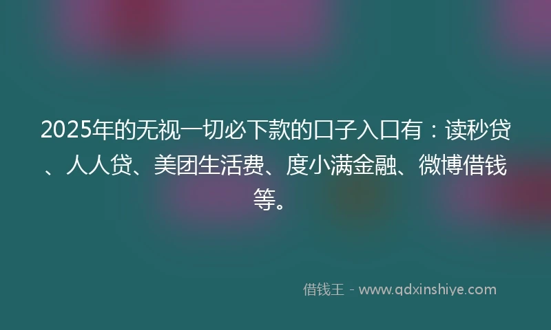 2025年的无视一切必下款的口子入口有：读秒贷、人人贷、美团生活费、度小满金融、微博借钱等。