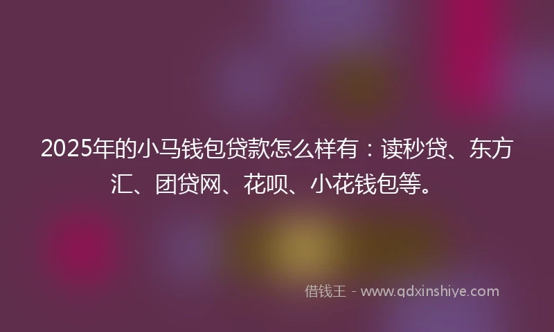2025年的小马钱包贷款怎么样有：读秒贷、东方汇、团贷网、花呗、小花钱包等。