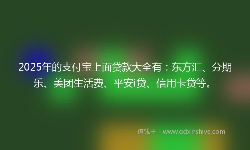 2025年的支付宝上面贷款大全有：东方汇、分期乐、美团生活费、平安i贷、信用卡贷等。