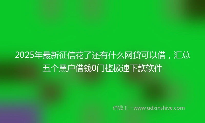 2025年最新征信花了还有什么网贷可以借，汇总五个黑户借钱0门槛极速下款软件