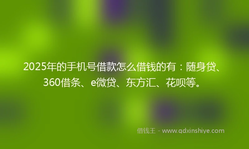 2025年的手机号借款怎么借钱的有：随身贷、360借条、e微贷、东方汇、花呗等。